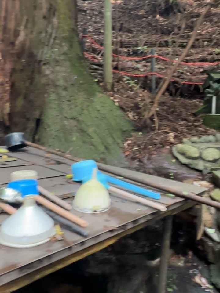 天岩戸神社の御神水