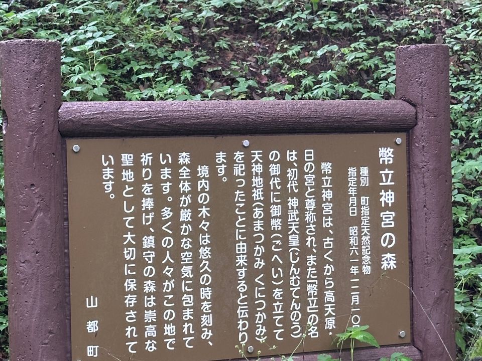 幣立神宮の森